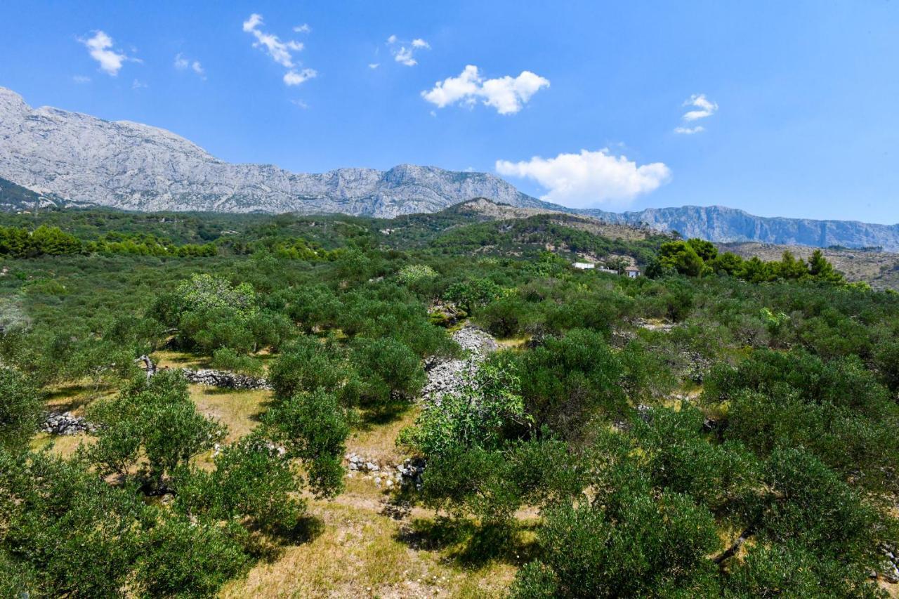 Sol Rooftop Apartments Tučepi Εξωτερικό φωτογραφία